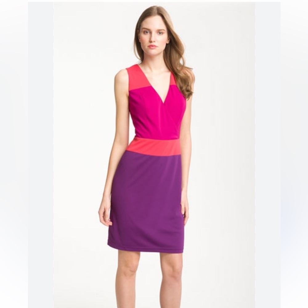 Adrianna Papell Colorblock Sheath